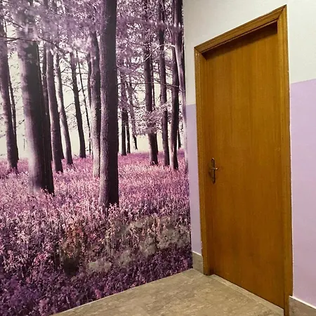 Dante Alighieri * Villa Colle Onorato